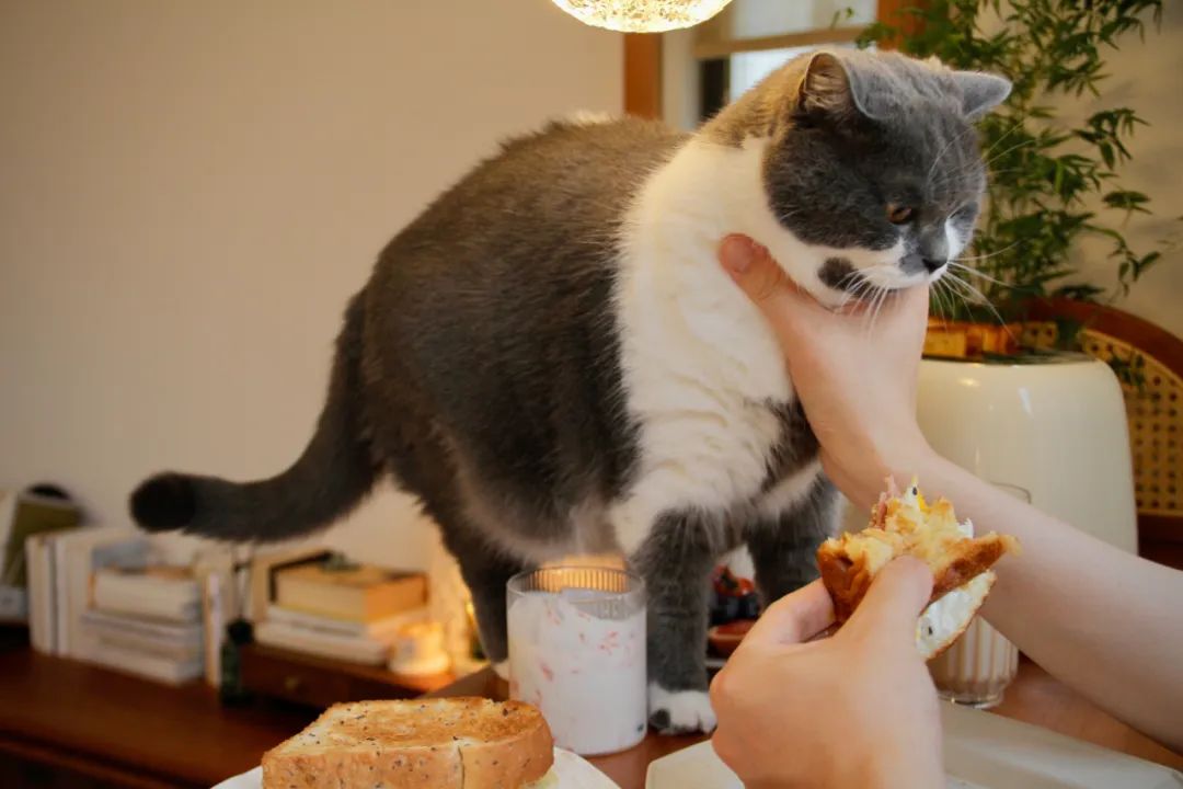 森林小屋 · 上海55平老房子变身诗意空间丨中国上海丨屋主琪琪-103