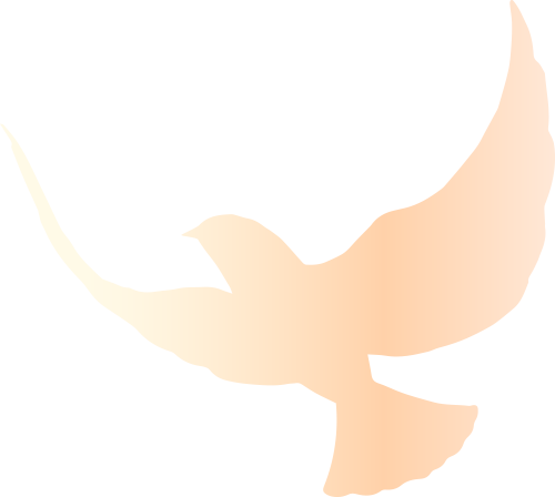 荆江潮起有凤来仪！江汉平原产业交流中心主体结构全面封顶-6