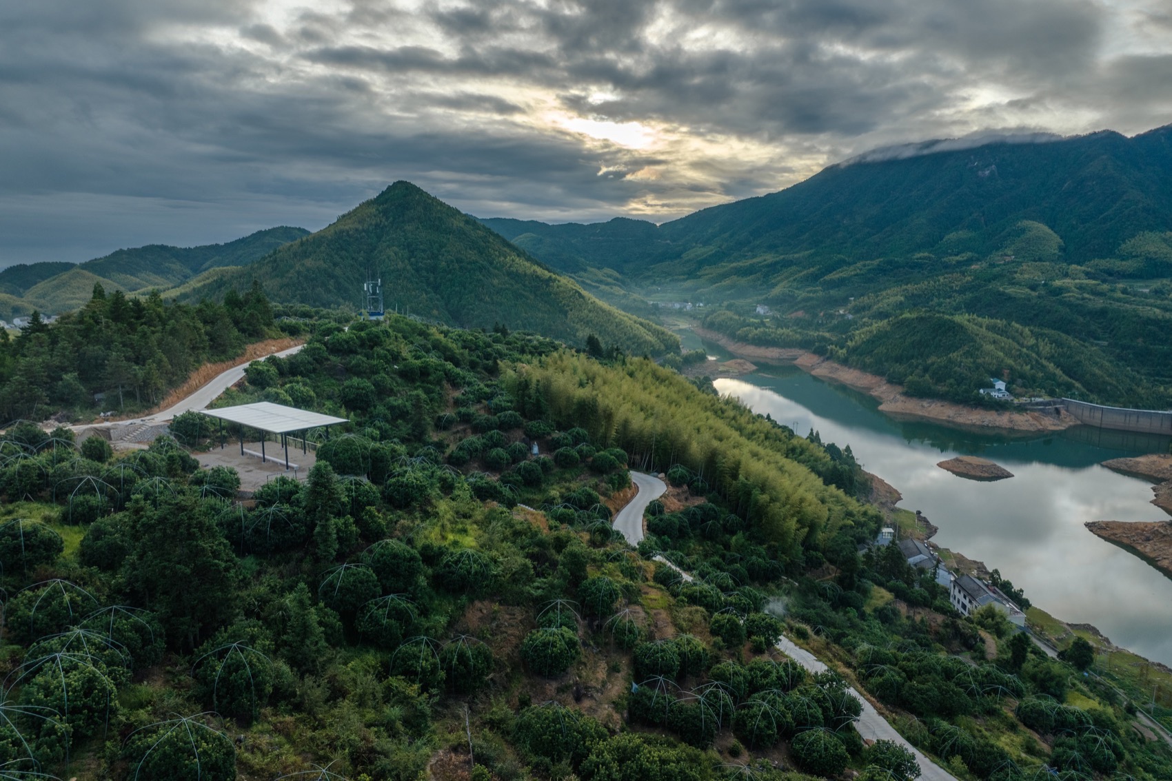 台州市黄岩区富山乡东魁杨梅驿站服务中心丨日本富山丨杭州大闲建筑设计有限公司-4