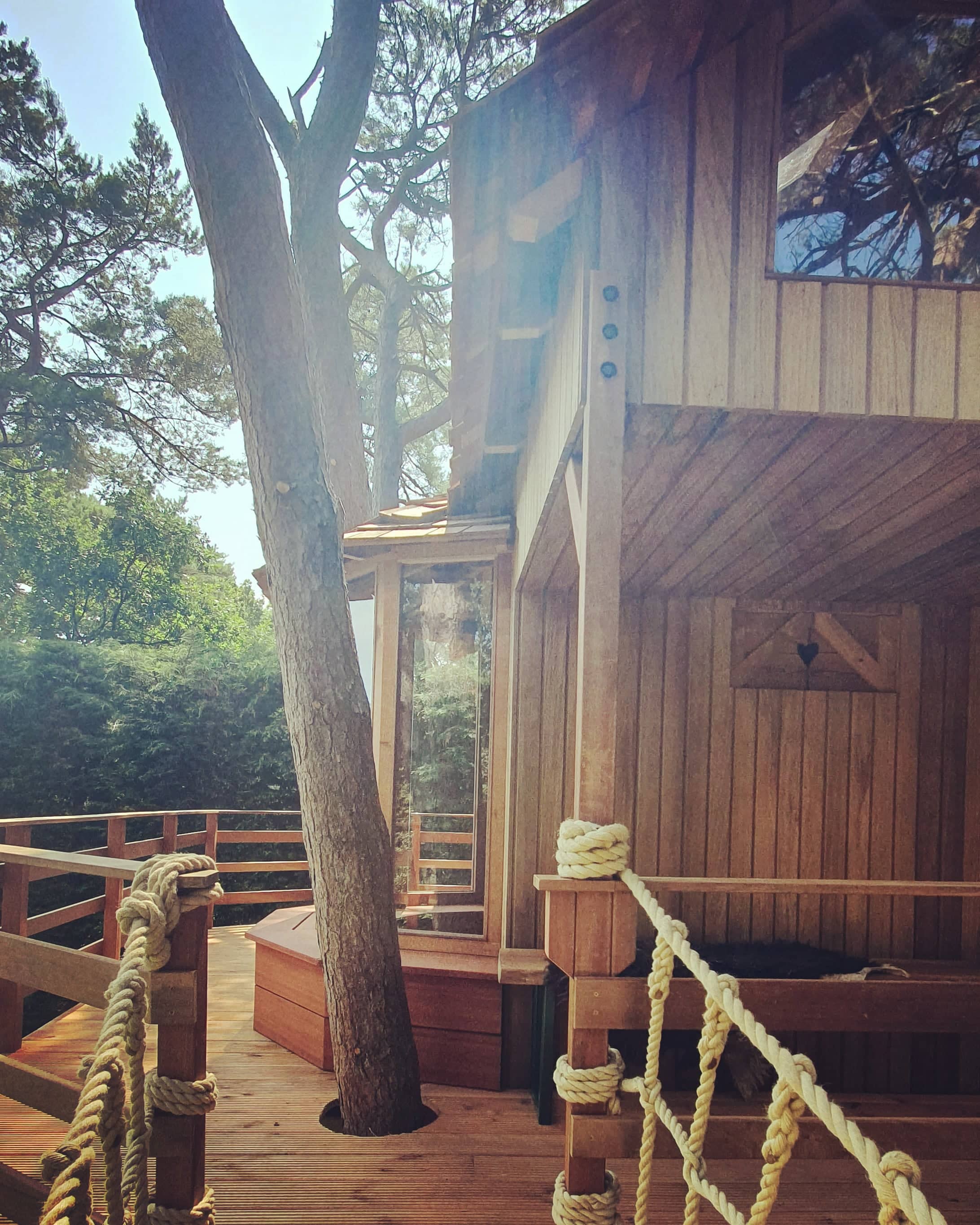 树屋·尊享系列（注：这里假设E·clusive可能是品牌方自创的类似Exclusive（尊享、独家）的词，以突出独特性，具体需结合实际语境） -15