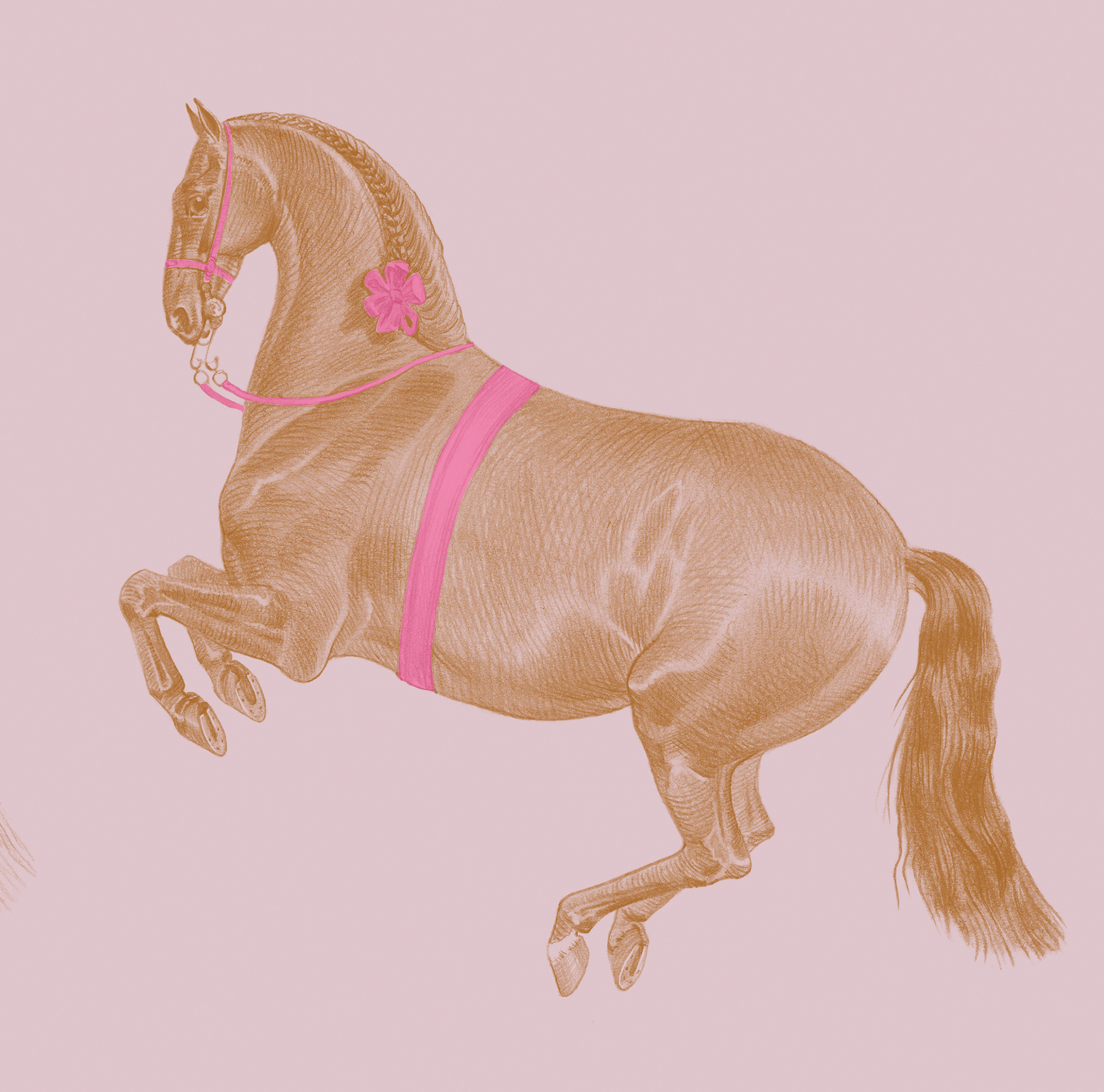 Lusitano. Hand drawn wallpaper design-3