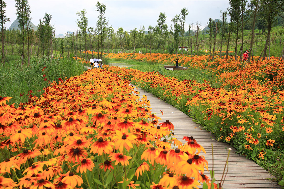 六盘水明湖湿地公园,贵州 / 土人-27