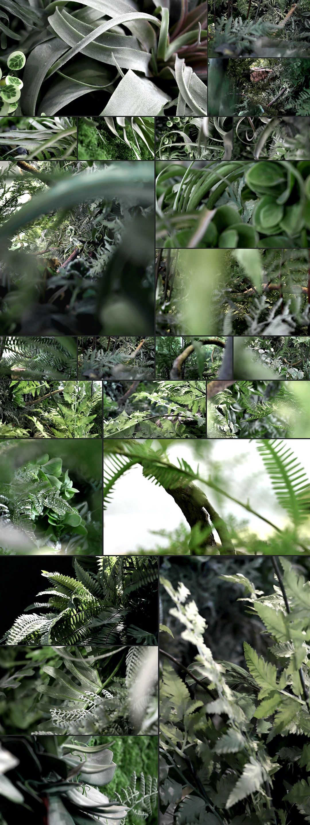 万科公园城市示范区-209