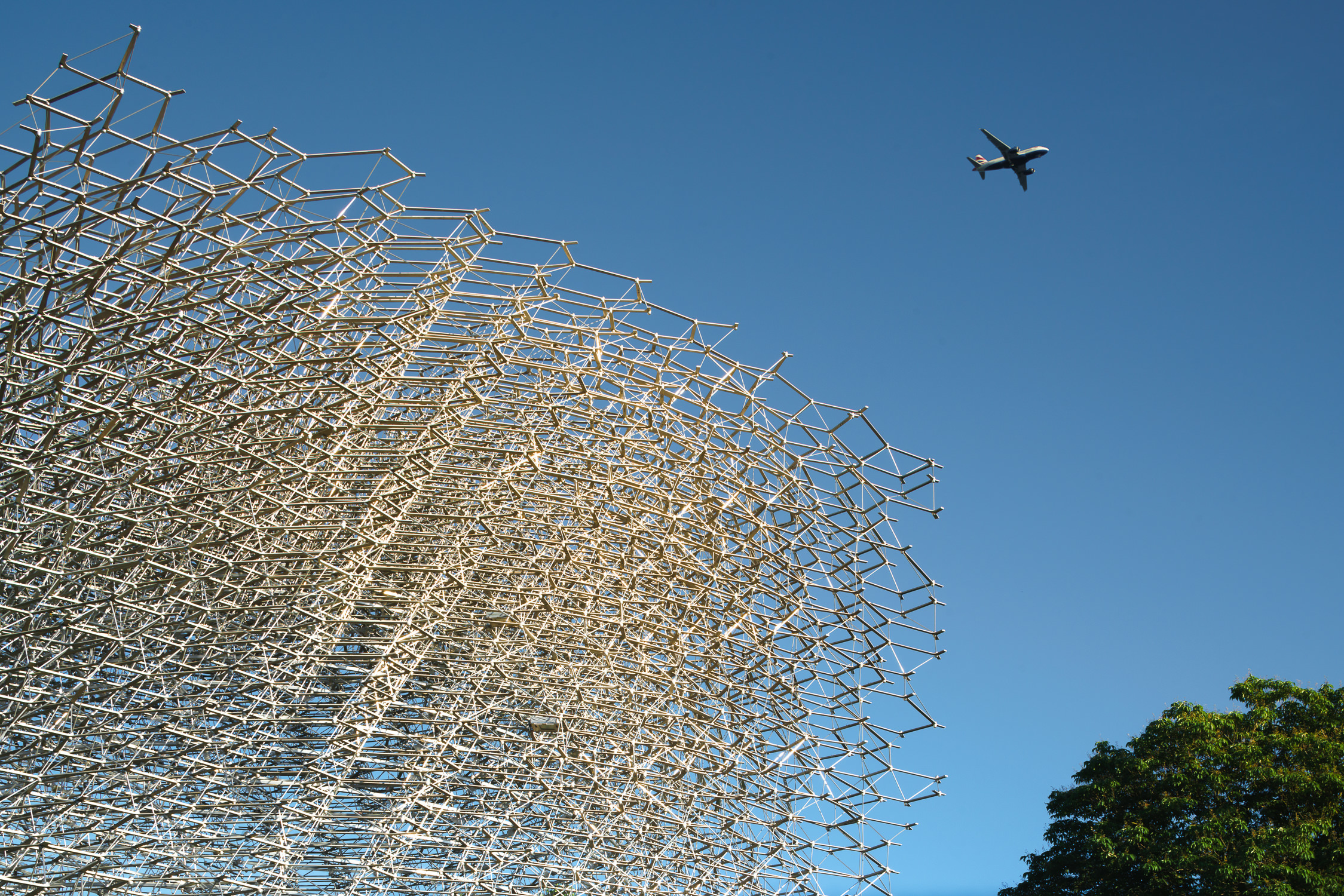 梦幻之境 · Wolfgang Buttress 的“蜂巢”-58