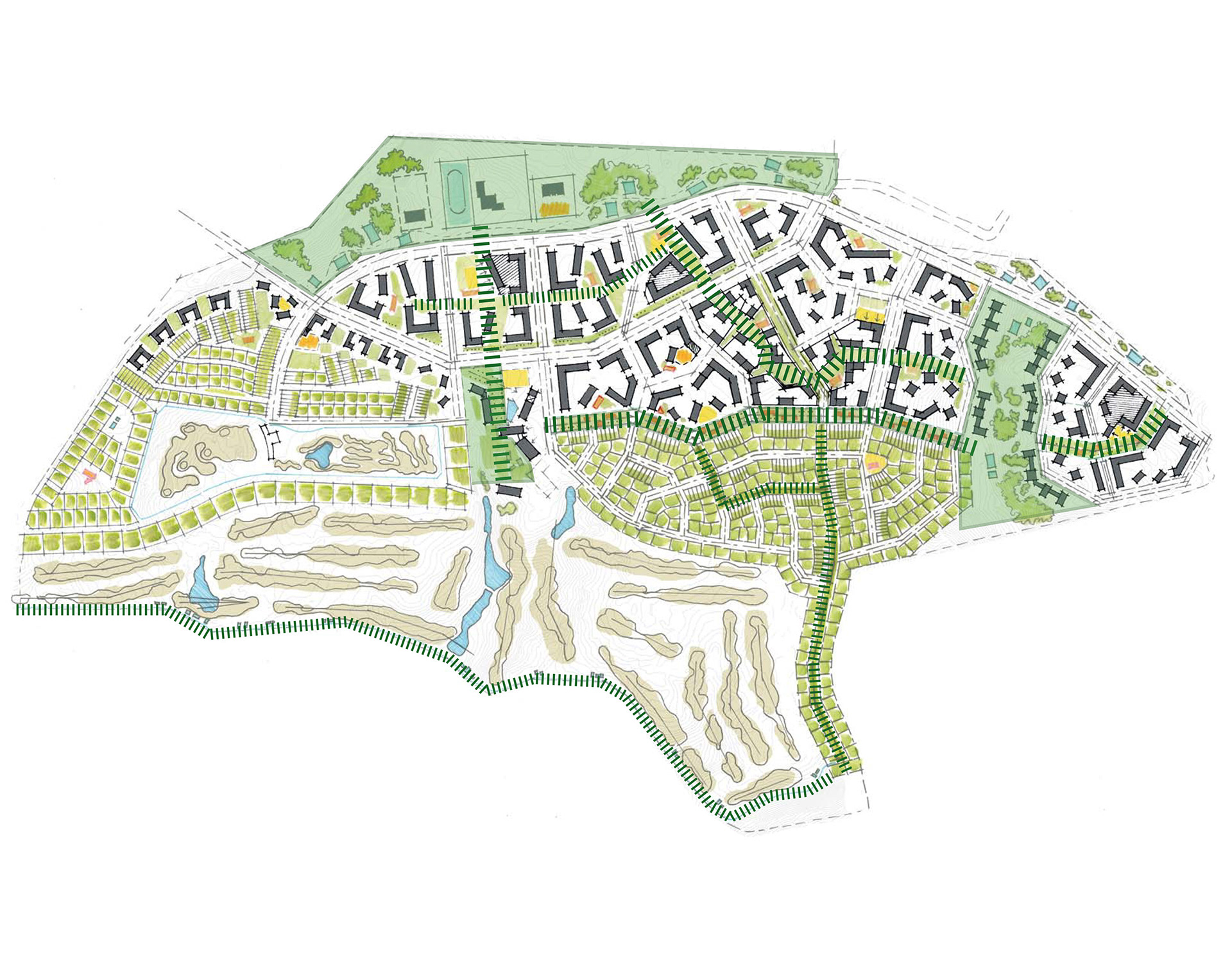 绿港丨白俄罗斯明斯克-17