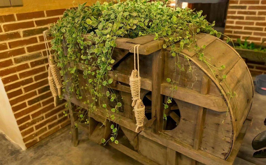 
都江堰 I 农老坎麻辣烫总店 -2