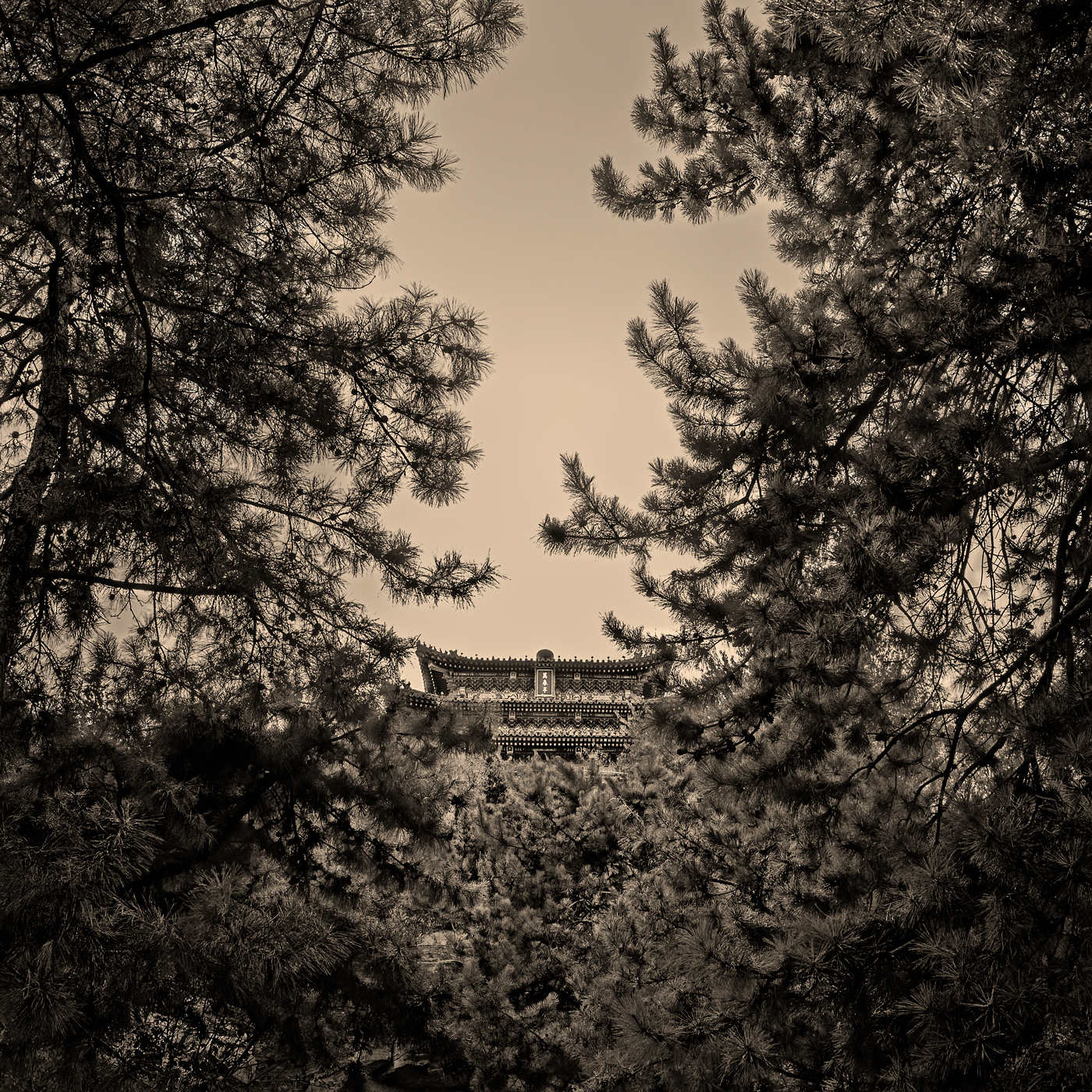 Dai Cing Gurun,中国建筑丨中国北京丨Ha4Lab（日本摄影师和研究员）-11