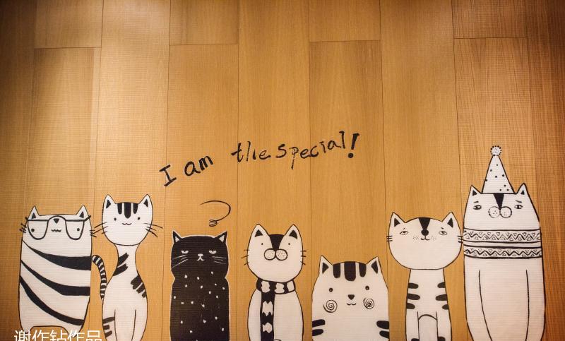 
杨小宝捞烫实景图 -4