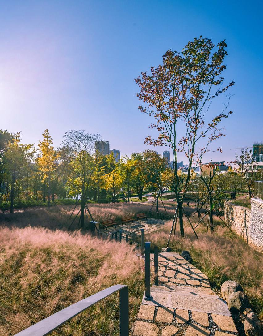 贵州安顺虹山湖市民公园-28