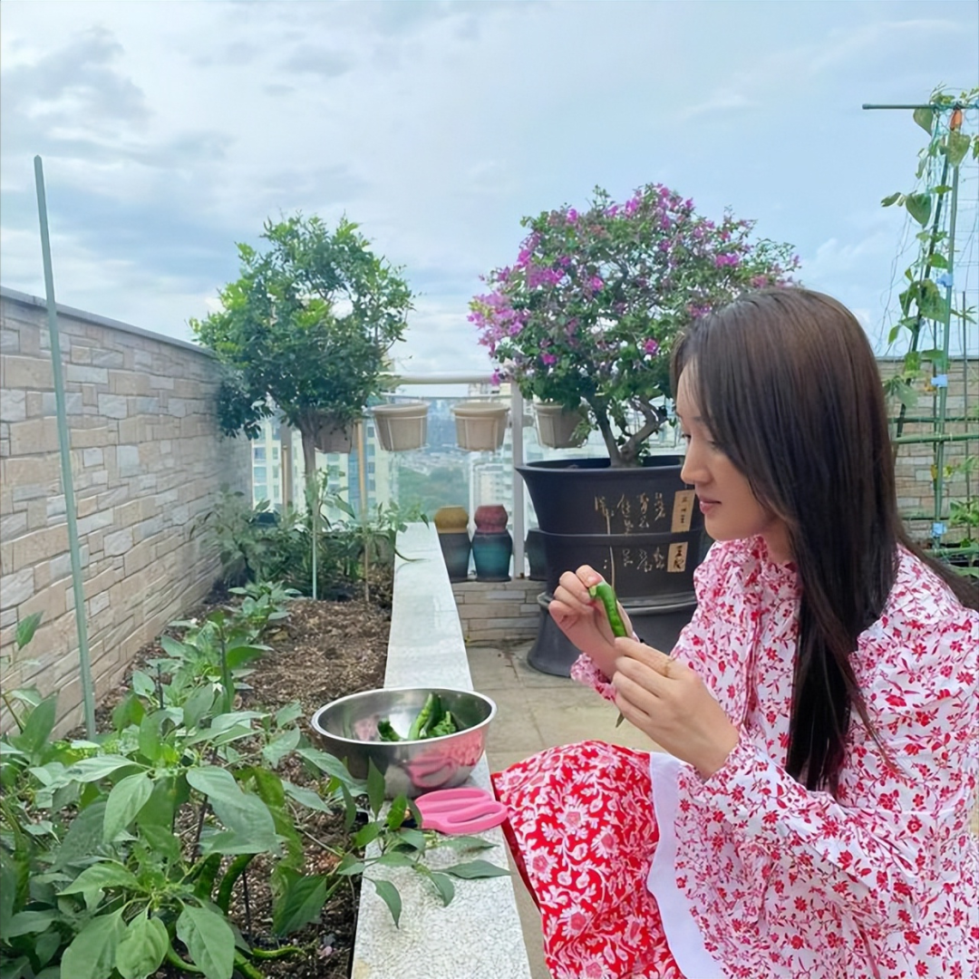 52 岁杨钰莹的 “豪宅” 火了，一个人，养花种菜，与狗相伴，治愈了很多人-8