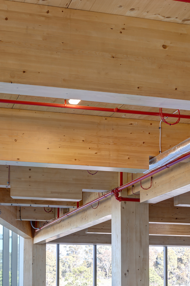 邦德商业建筑丨澳大利亚悉尼-31