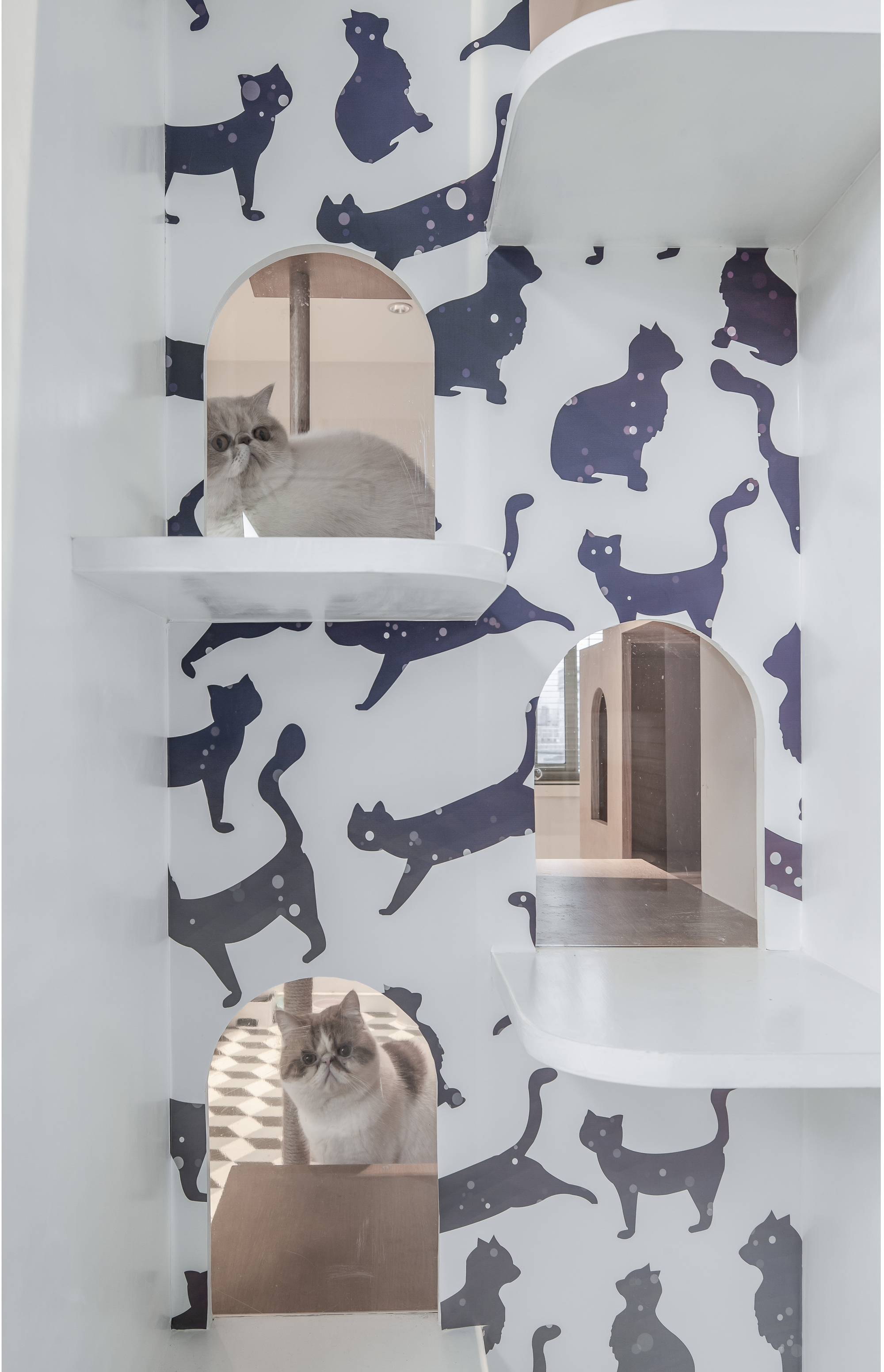 似我服装工作室 | 拓邦部落设计-27