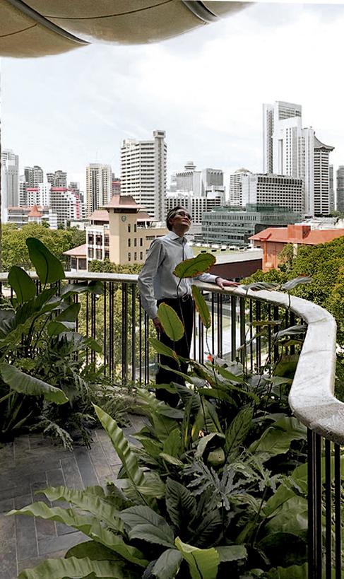 新加坡 Eden 公寓 | 自然灵感与都市生活的完美融合-12