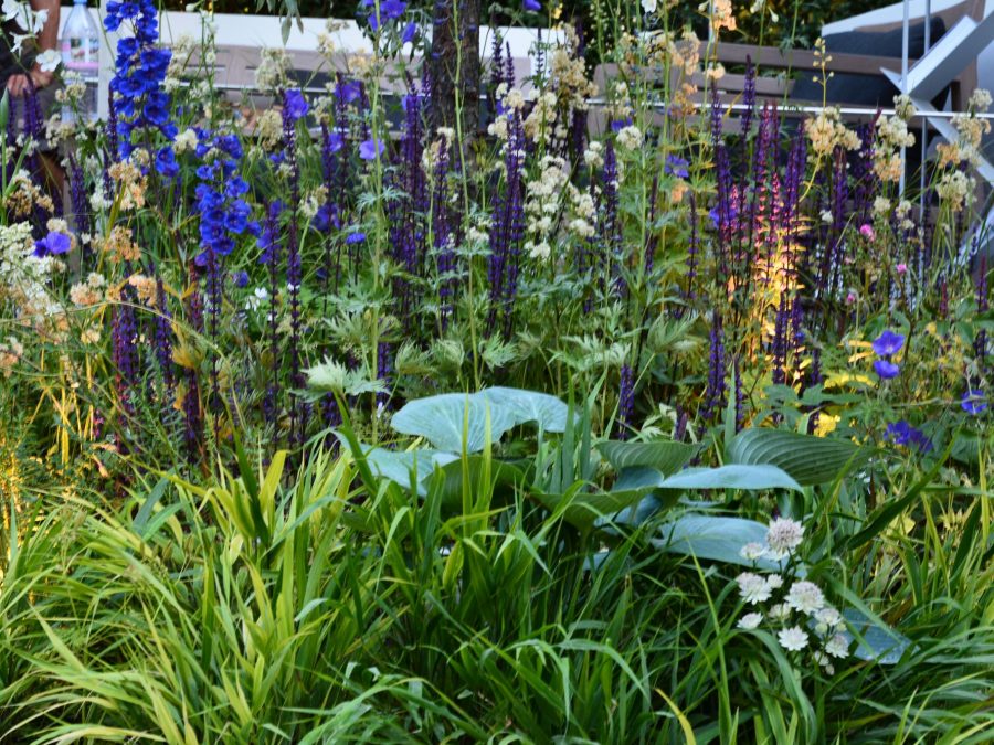 Eau de bonheur - Didier Danet - Entreprise Paysagiste-18