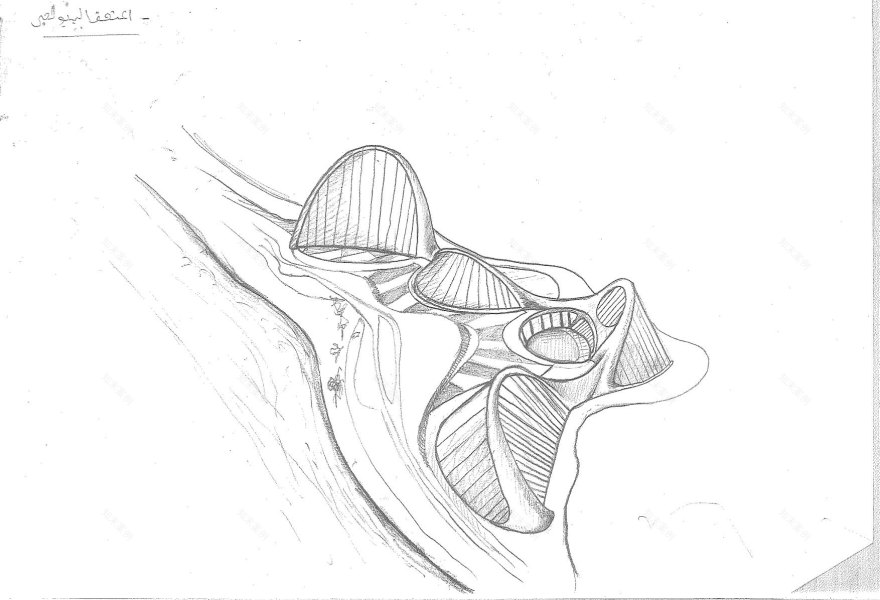 生态地平线度假村丨埃及丨开罗大学区域与城市规划学院城市设计系-21