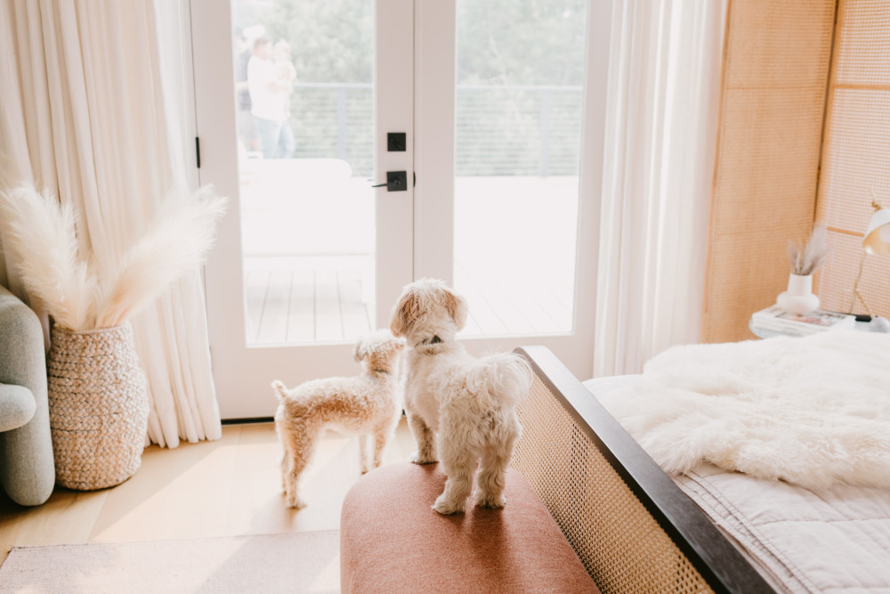 年轻企业家 Jaclyn Johnson 的洛杉矶现代西班牙风格住宅-14