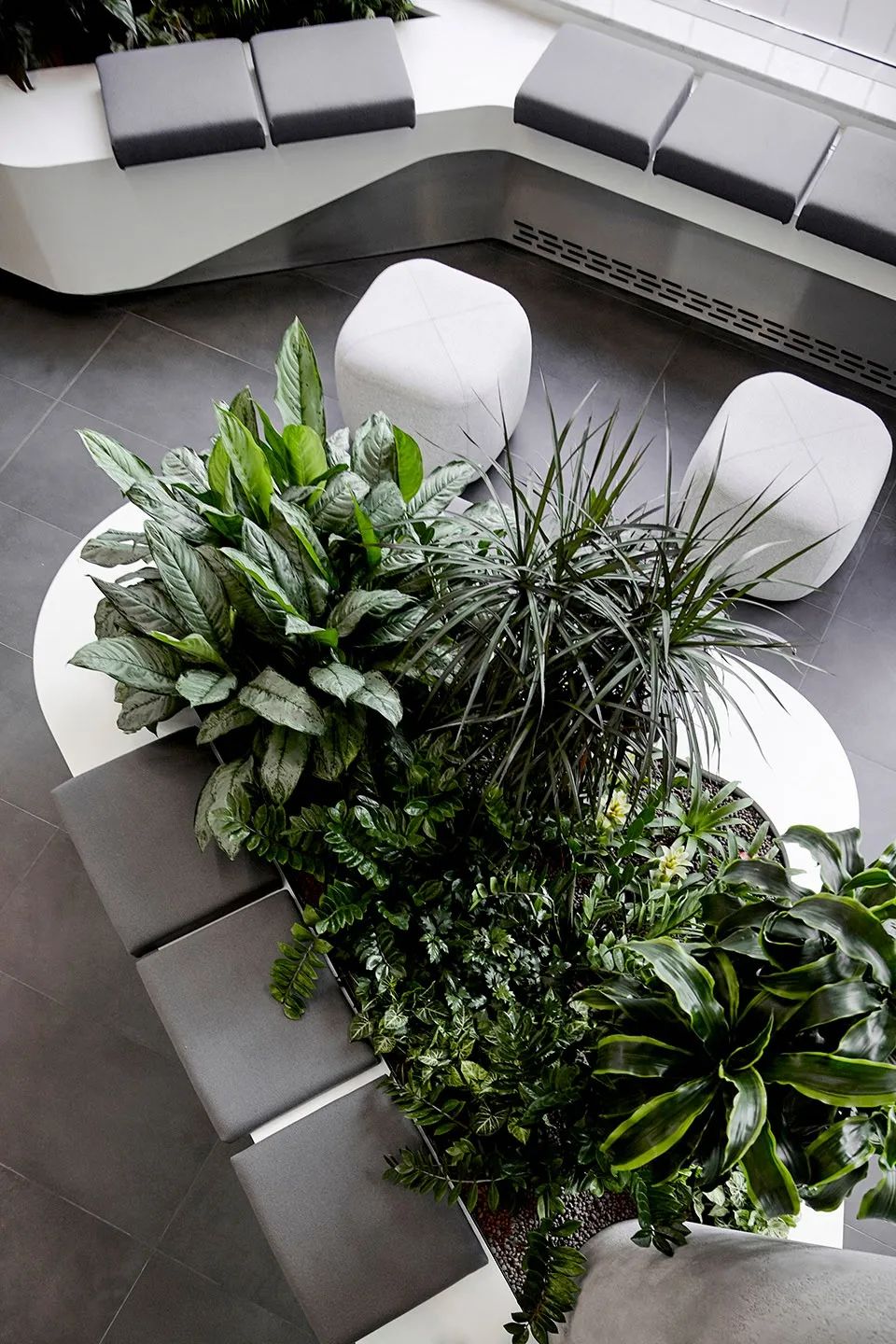 布达佩斯 EY 办公室 | 绿色社交工作空间-10