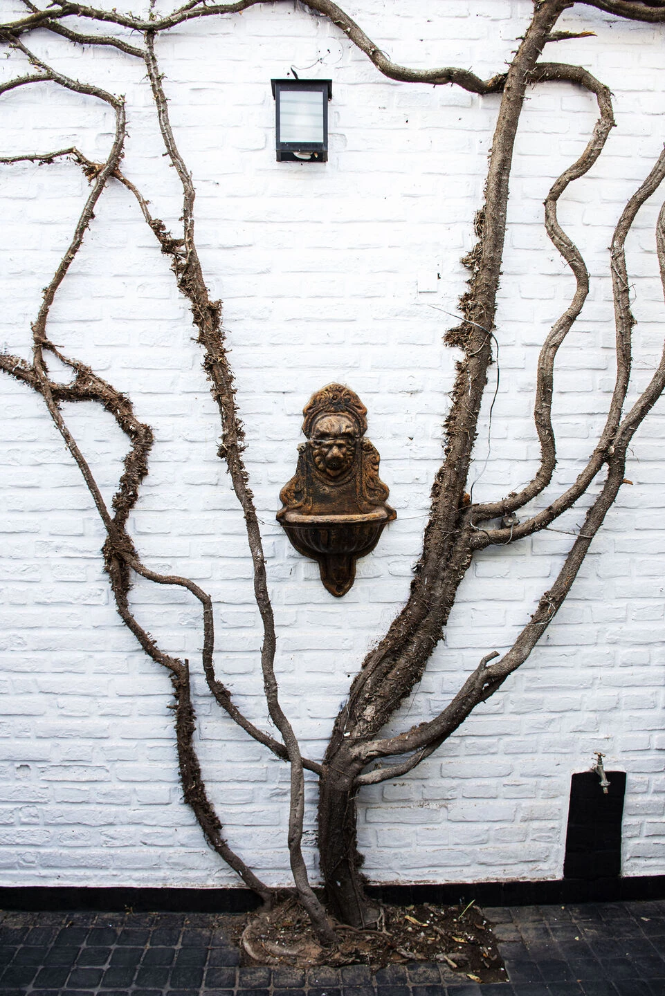 阿根廷百年老宅翻新成律师楼与公寓丨阿根廷圣路易斯-45