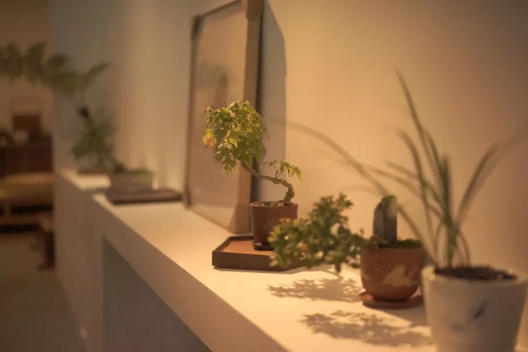 墨问的茶空间-9