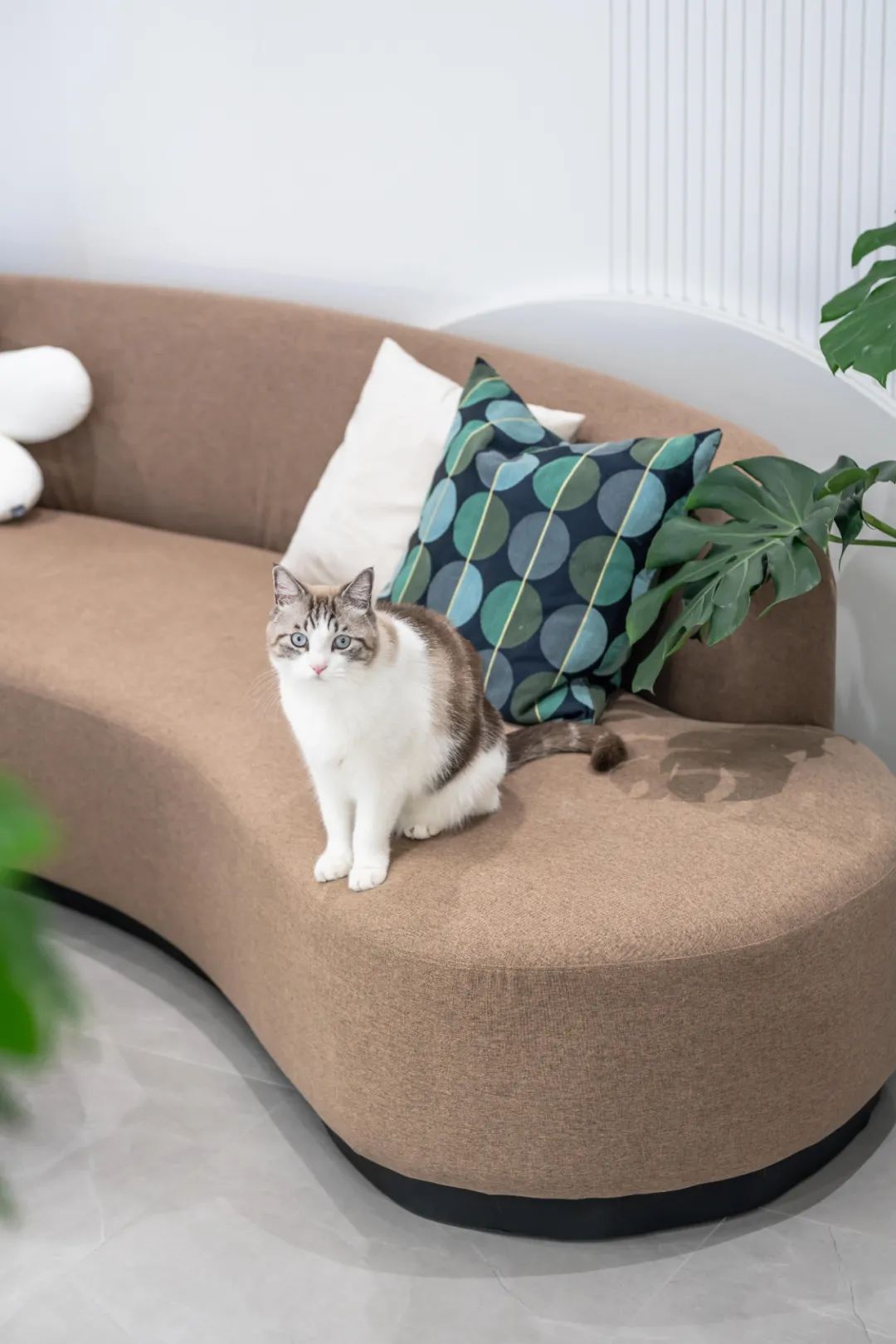 橘子汽水味的三房loft，超强布局不输大平层-303