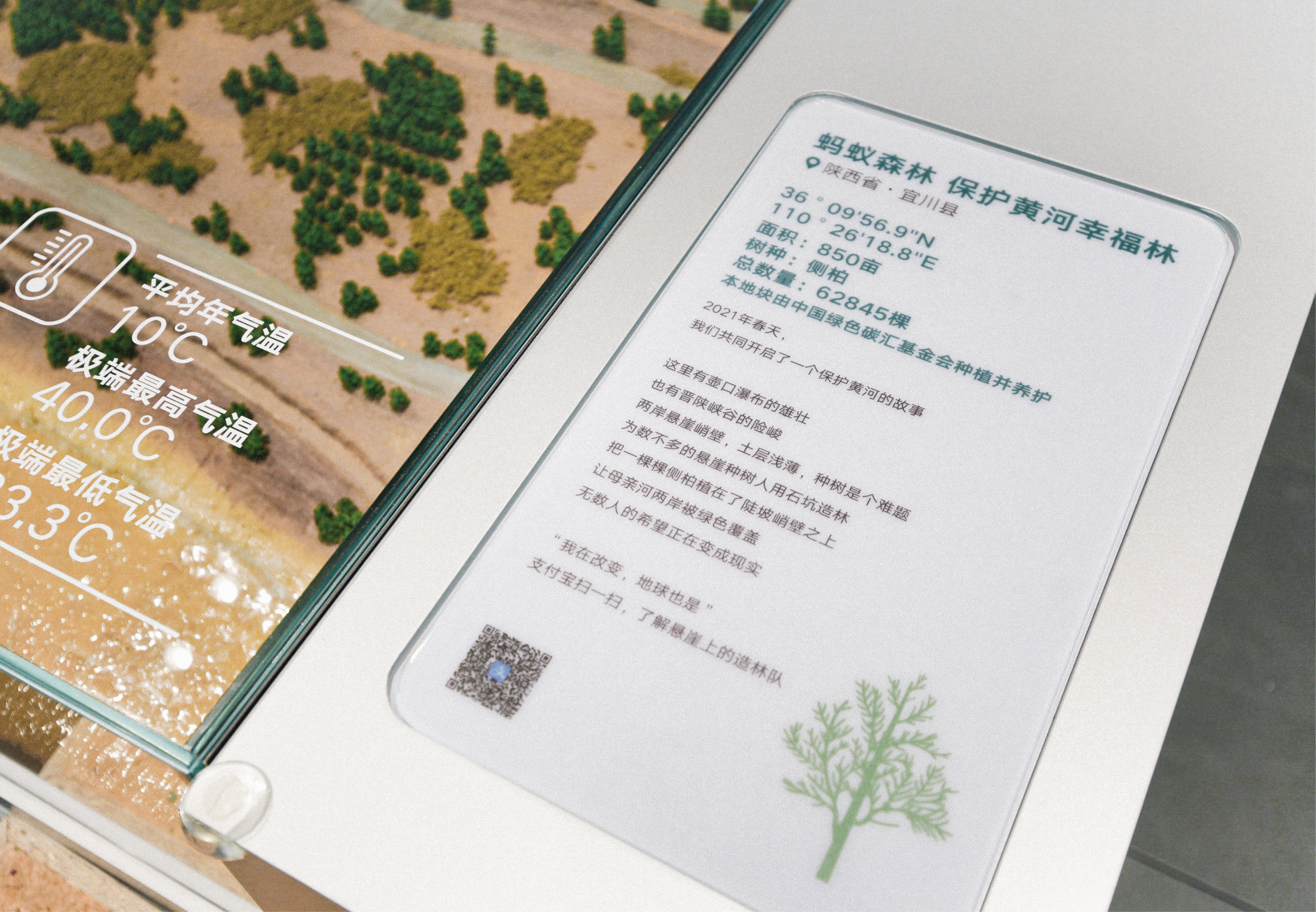 杭州天目里绿色嘉年华「森林里」丨中国杭州丨蚂蚁森林,杭州天目里,不是美术馆-36