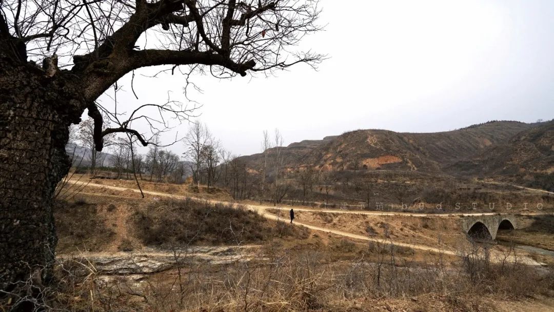 观星之眼 | 自然与设计的完美融合-5