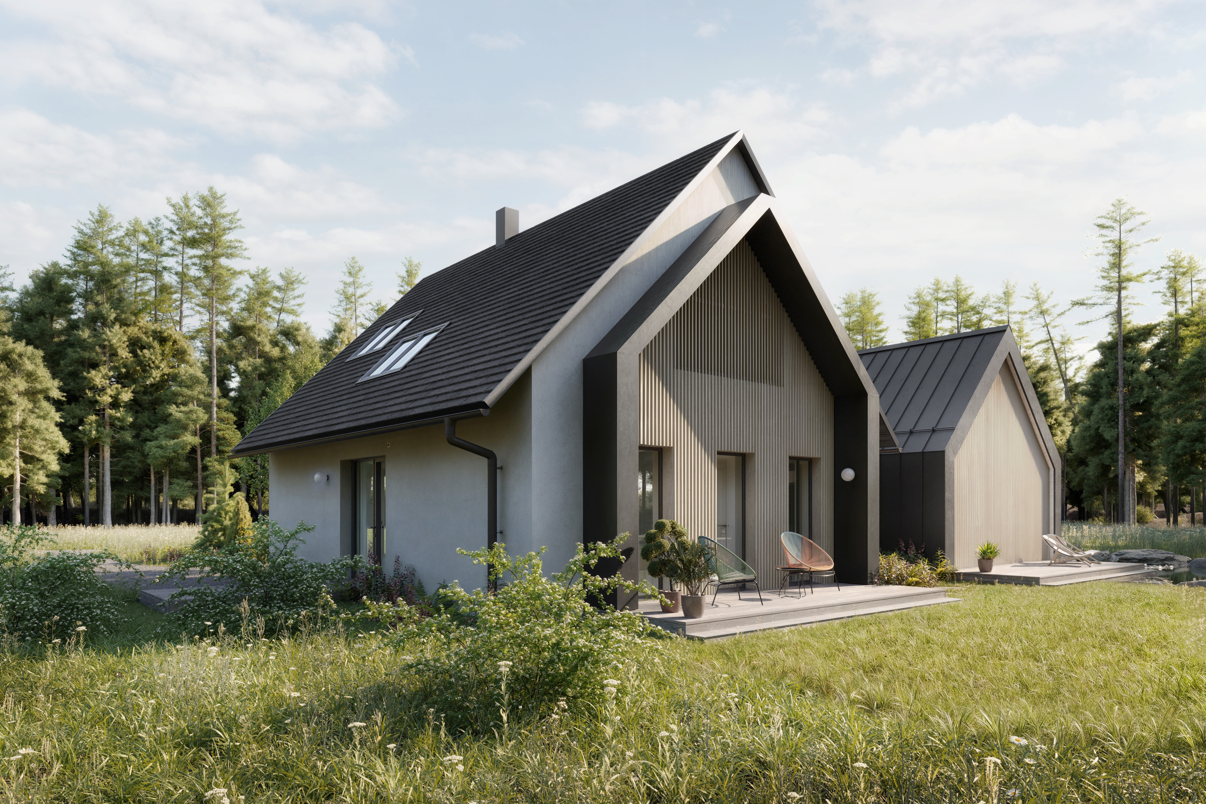 Borova现代乡村住宅可视化项目丨捷克-8