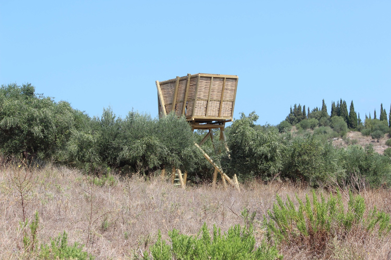 Tragata 临时木结构建筑-27