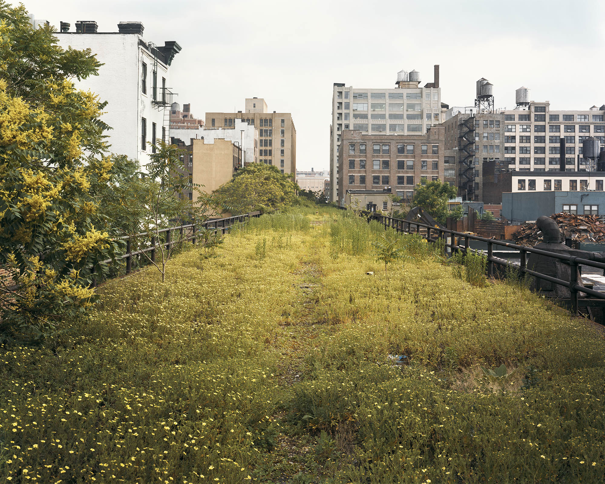 纽约高线公园（The High Line）丨美国曼哈顿-34