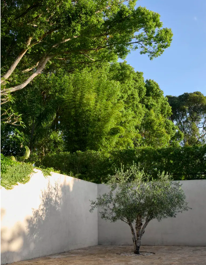 从“兔子窝”到伊维萨风避难所:艺术家夫妇的四年翻新记-22