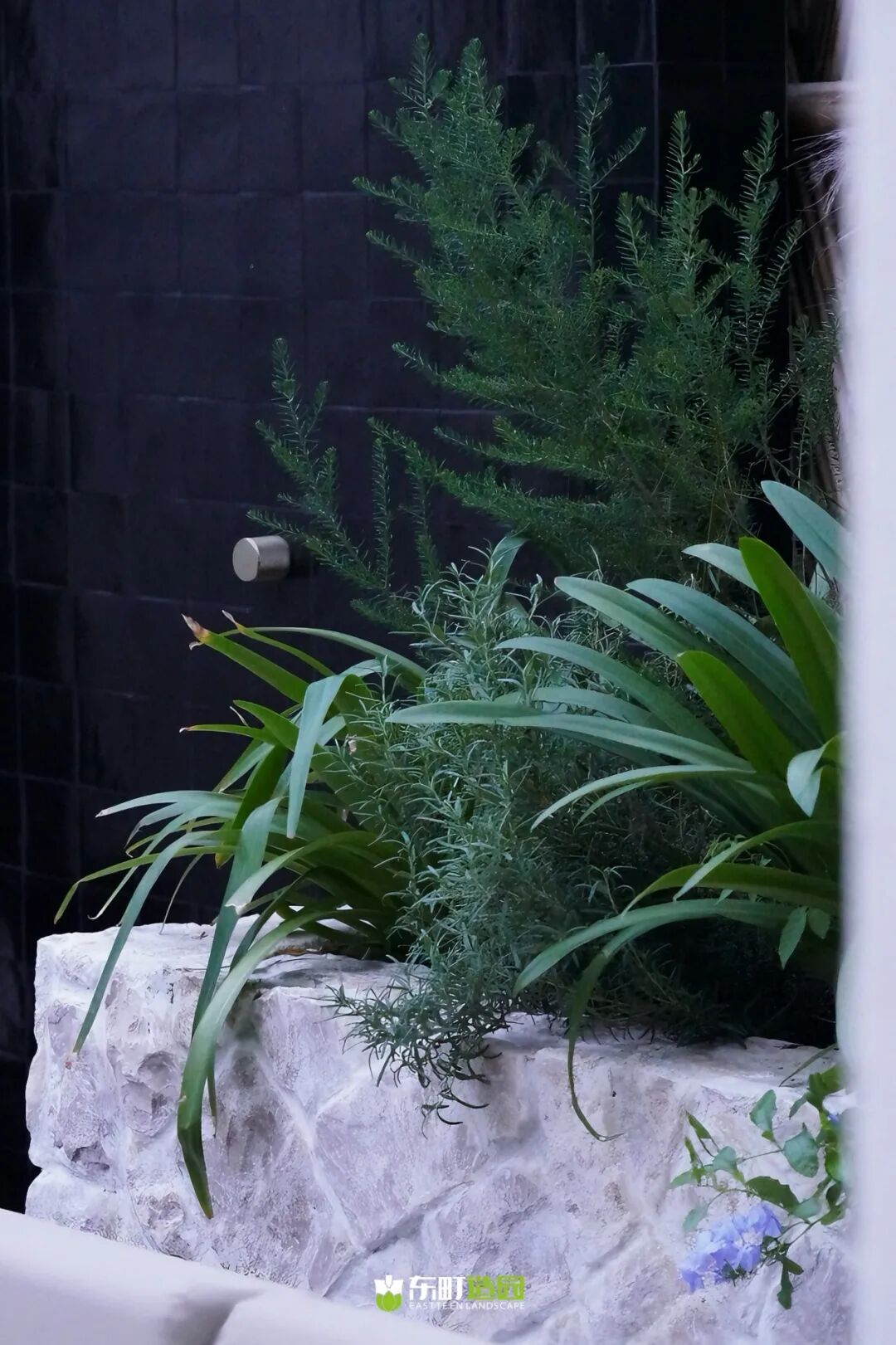 高雅金臣庭院丨中国上海-146