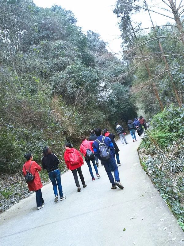 海华院春日踏青活动回顾 | 和谐邻里，美景尽收眼底-12