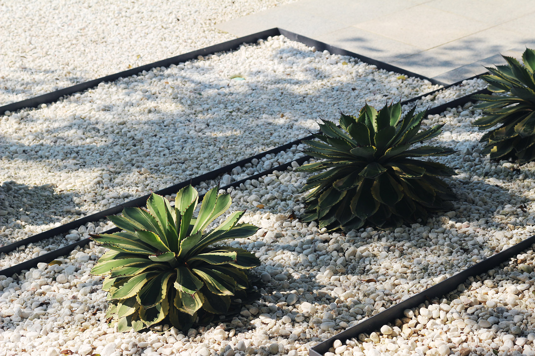 阿那亚三亚南花园丨中国三亚丨Z’scape致舍景观-249