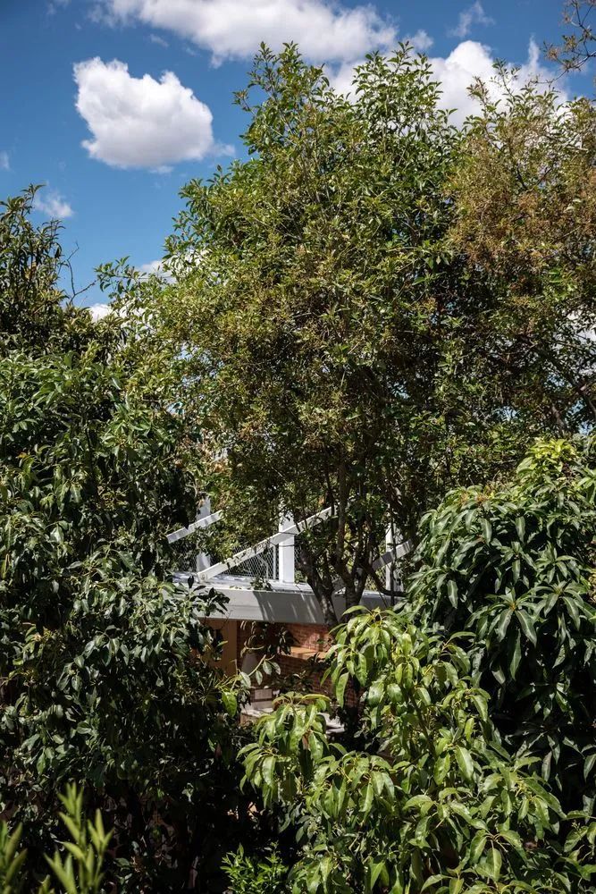 蔚来花园|果园里的休息室丨URLO-19