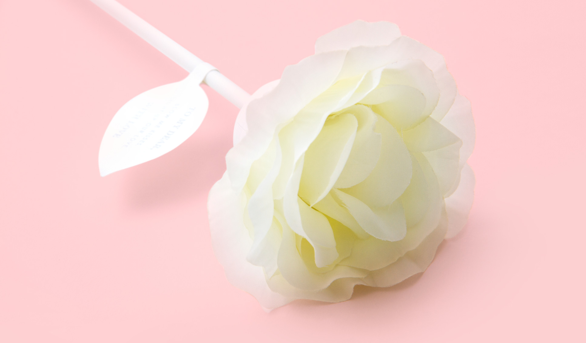 Light Rose Garden HK 玫瑰灯海园 – 香港站-32