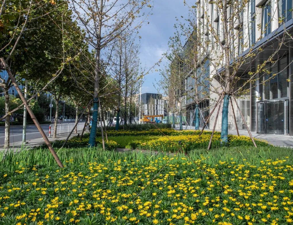 绿色生态虹桥万创中心，打造自然•“家”办公环境-68