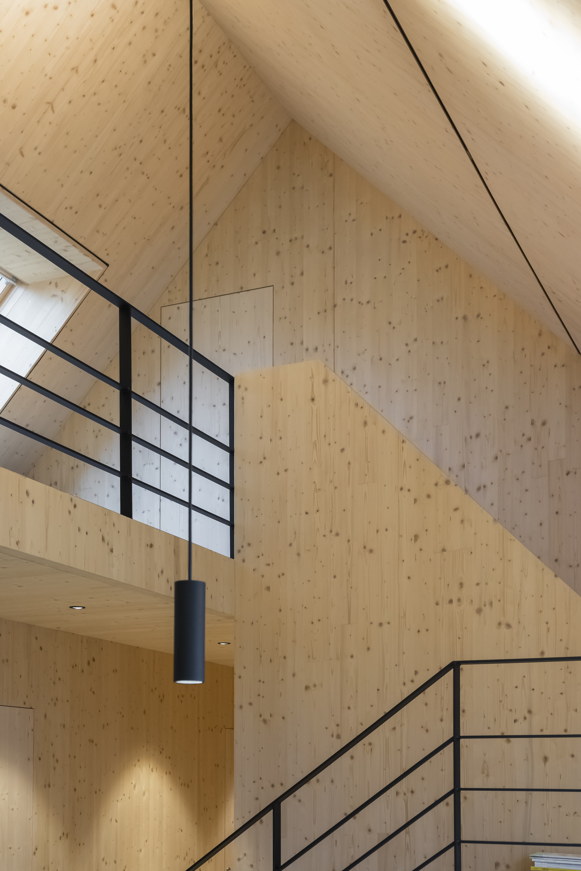 黑美人之家丨奥地利丨Backraum Architektur-43