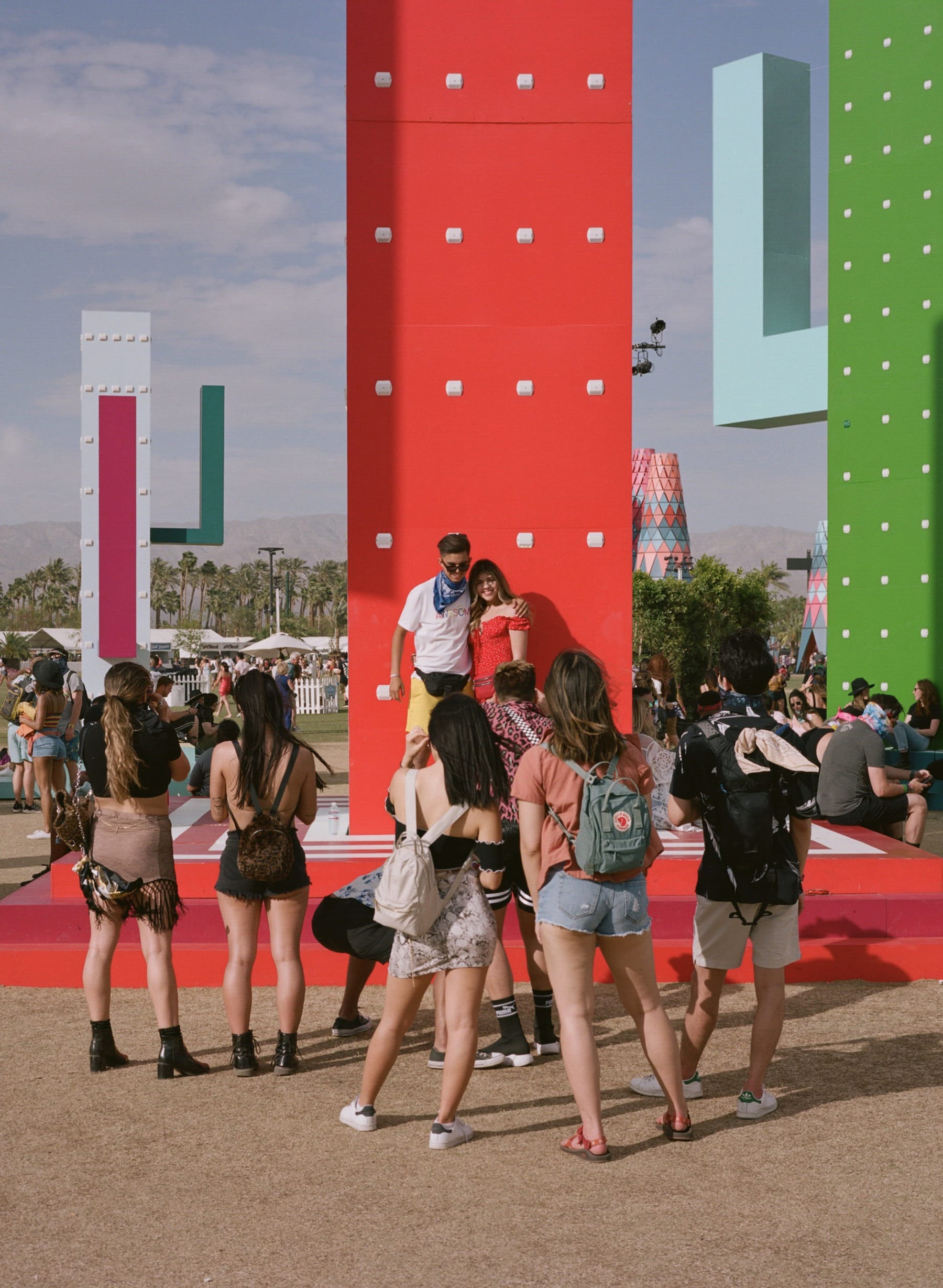 巨大仙人掌,科瓦奇办公室-23