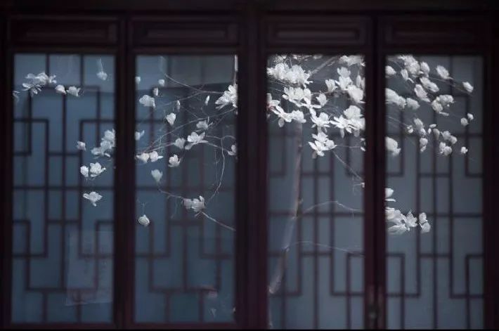 窗景如诗 | 四季园林,诗意生活-26