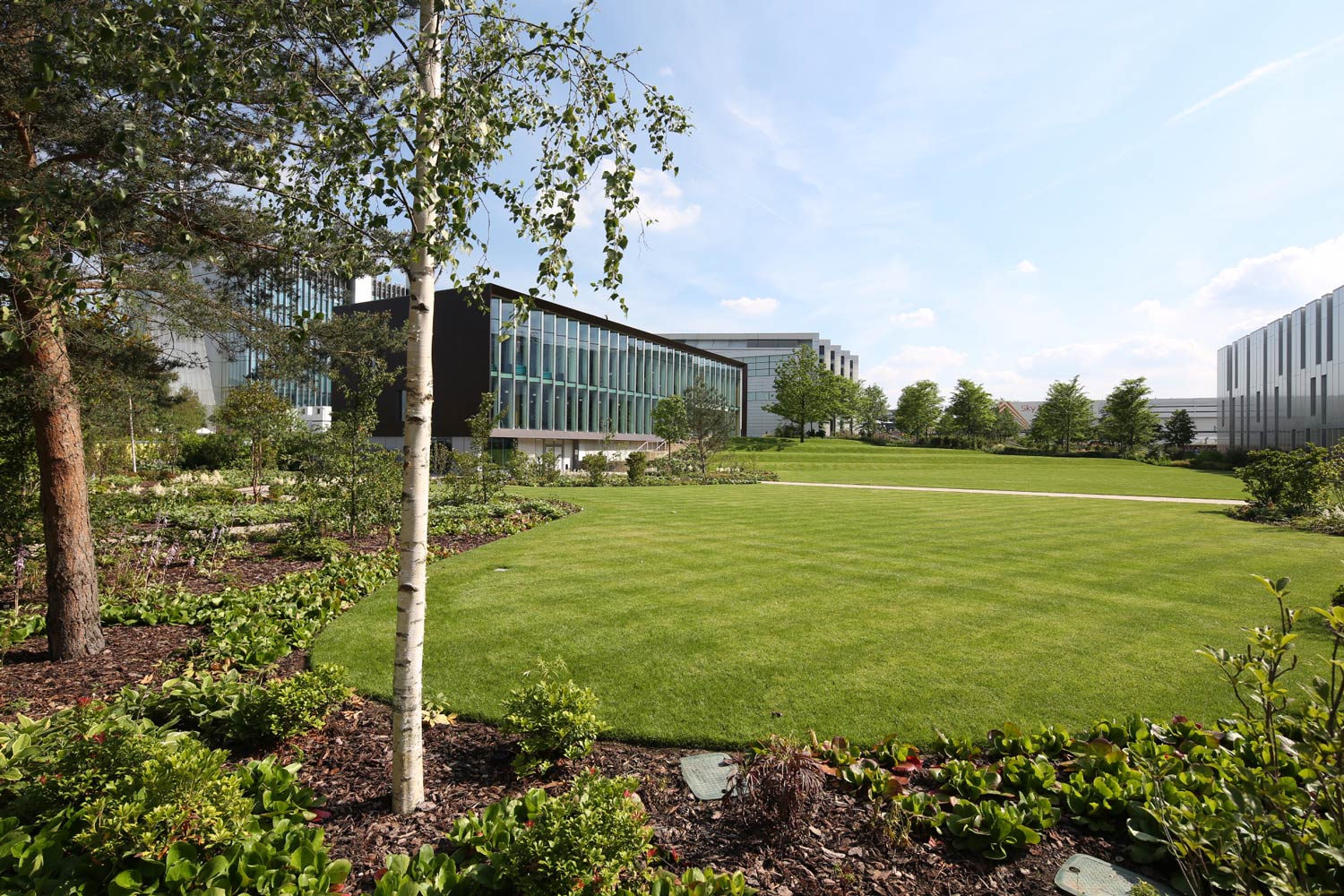 天空英国总部 | 绿色生态的办公环境-8