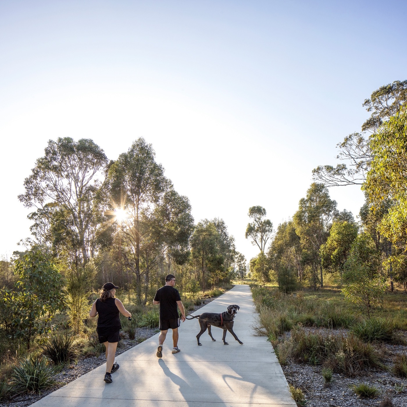 悉尼 Bungarribee 公园景观设计丨澳大利亚悉尼丨JMD 设计-4