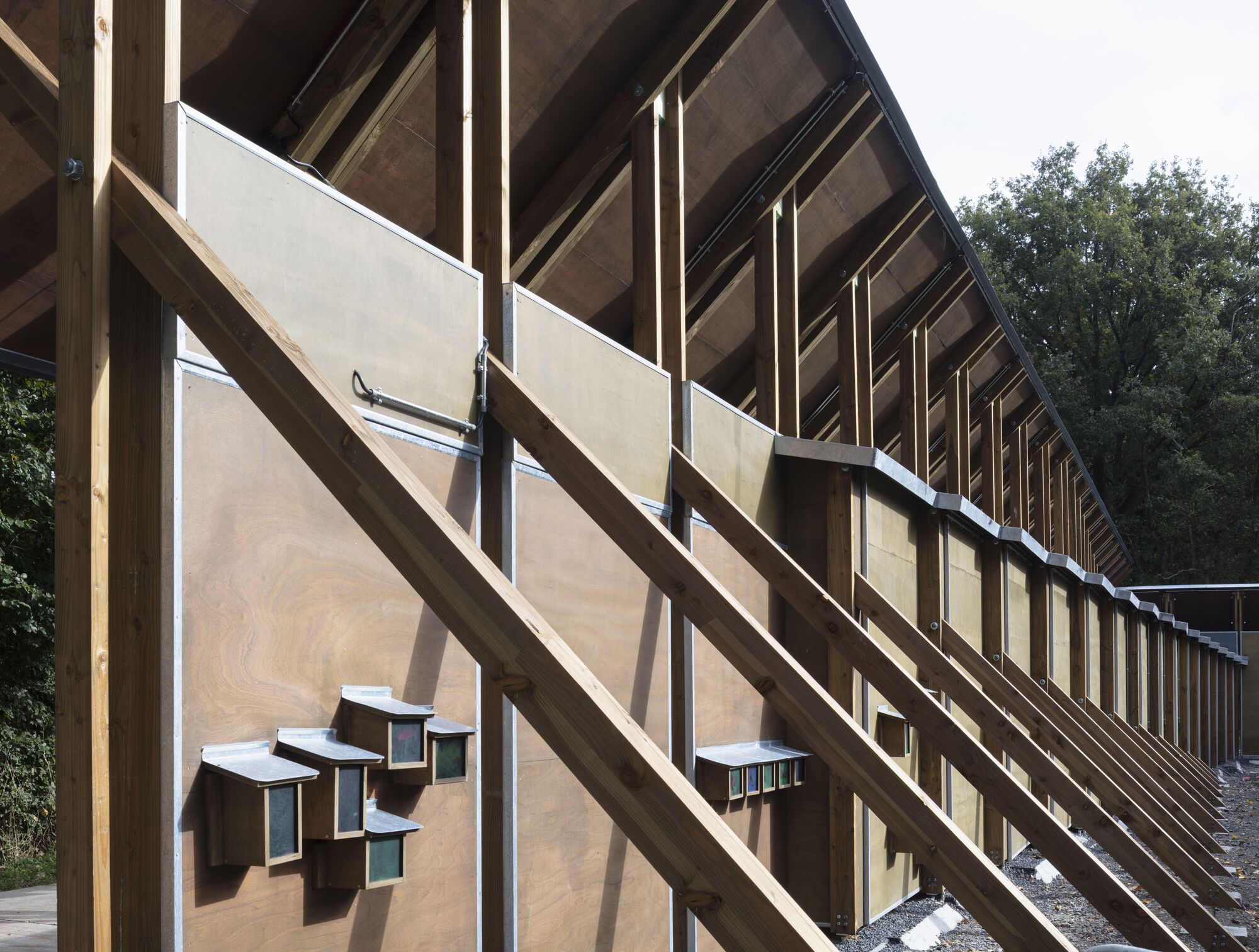 入口展馆帕林贝克丨Belgium丨Schenk Hattori-33