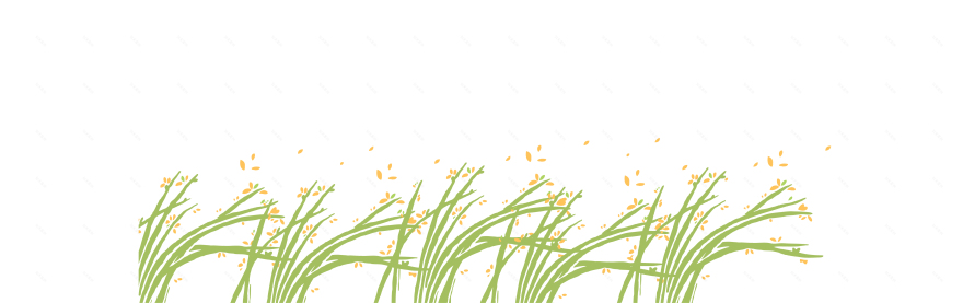 静止的工作室【蔺草飘香】│展览设计丨好位子团队-24