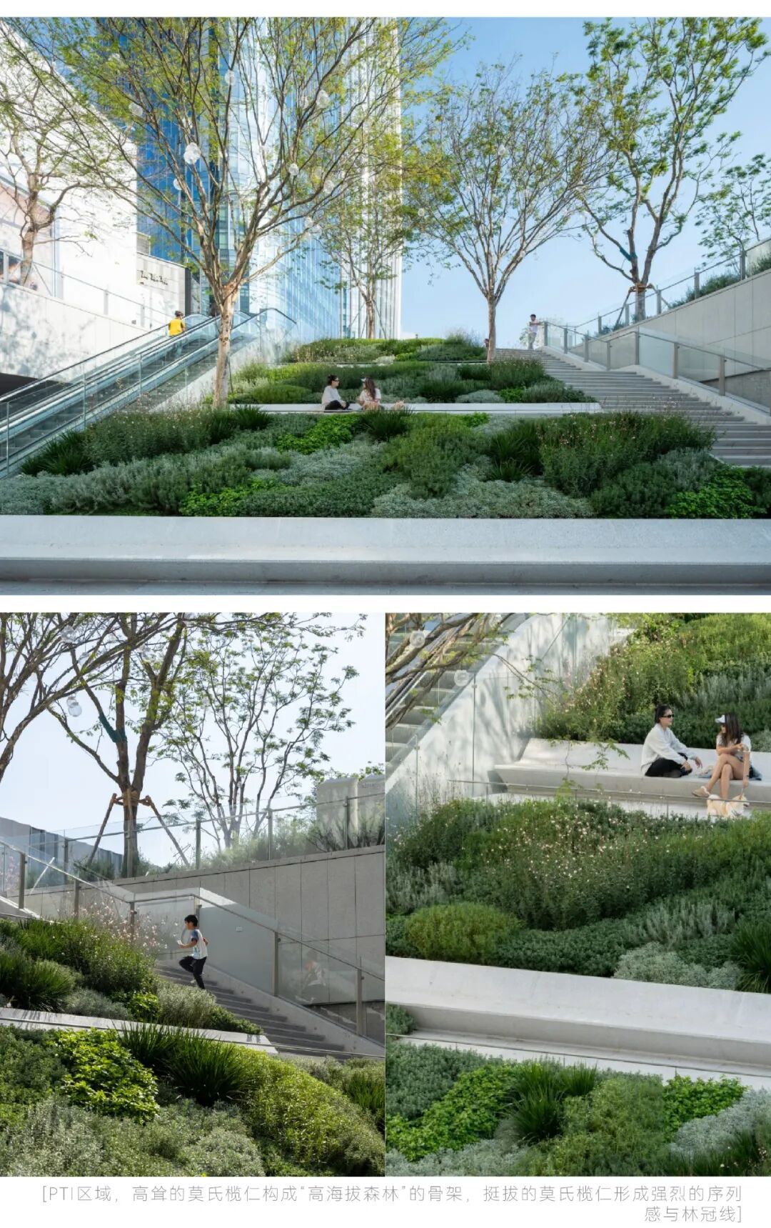 深圳湾万象城二期 丨中国广东深圳丨iPD澳洲艺普得-8