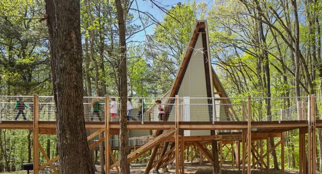 格雷厄姆营地 | 树屋冒险,自然与设计的完美融合-27