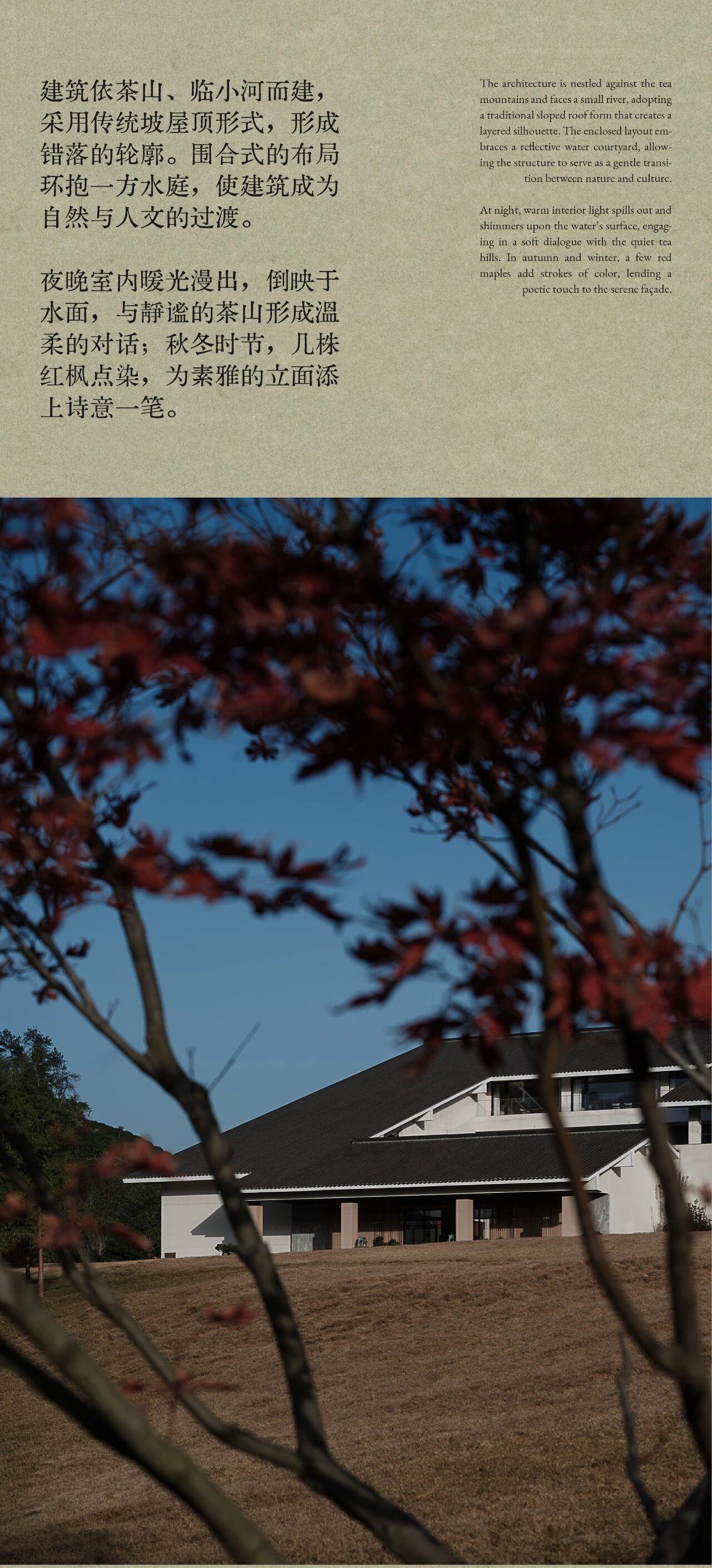 春山在望  溧阳天目湖玉枝茶场 茶语山房-11