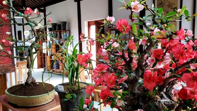 简约北欧风，打造温馨宜居空间-1