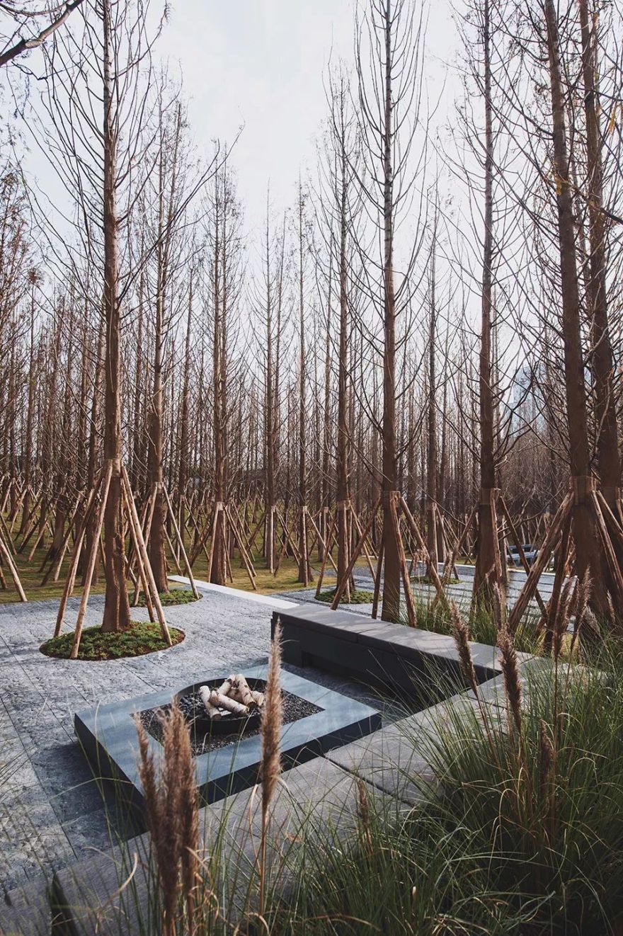 “重庆森林” | 重庆万科森林公园-44