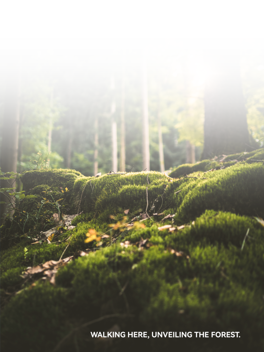 深圳招商雍云府售楼处丨中国深圳丨布鲁盟设计-5