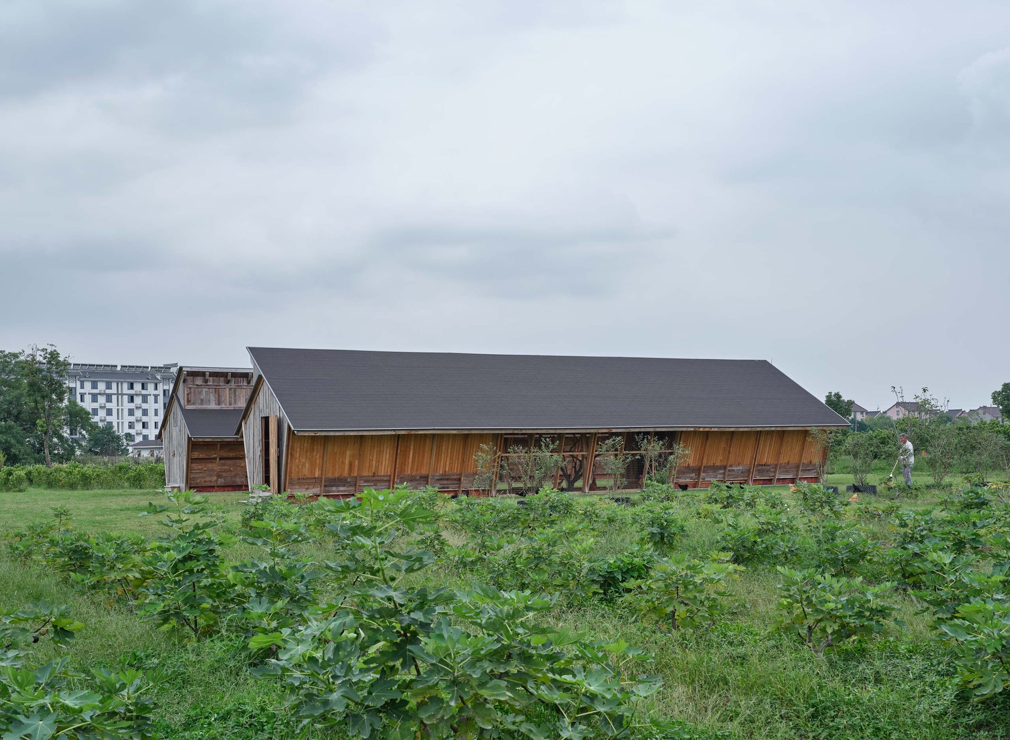 Næra Hotel 新型鸡舍设计丨Leeko Studio-7